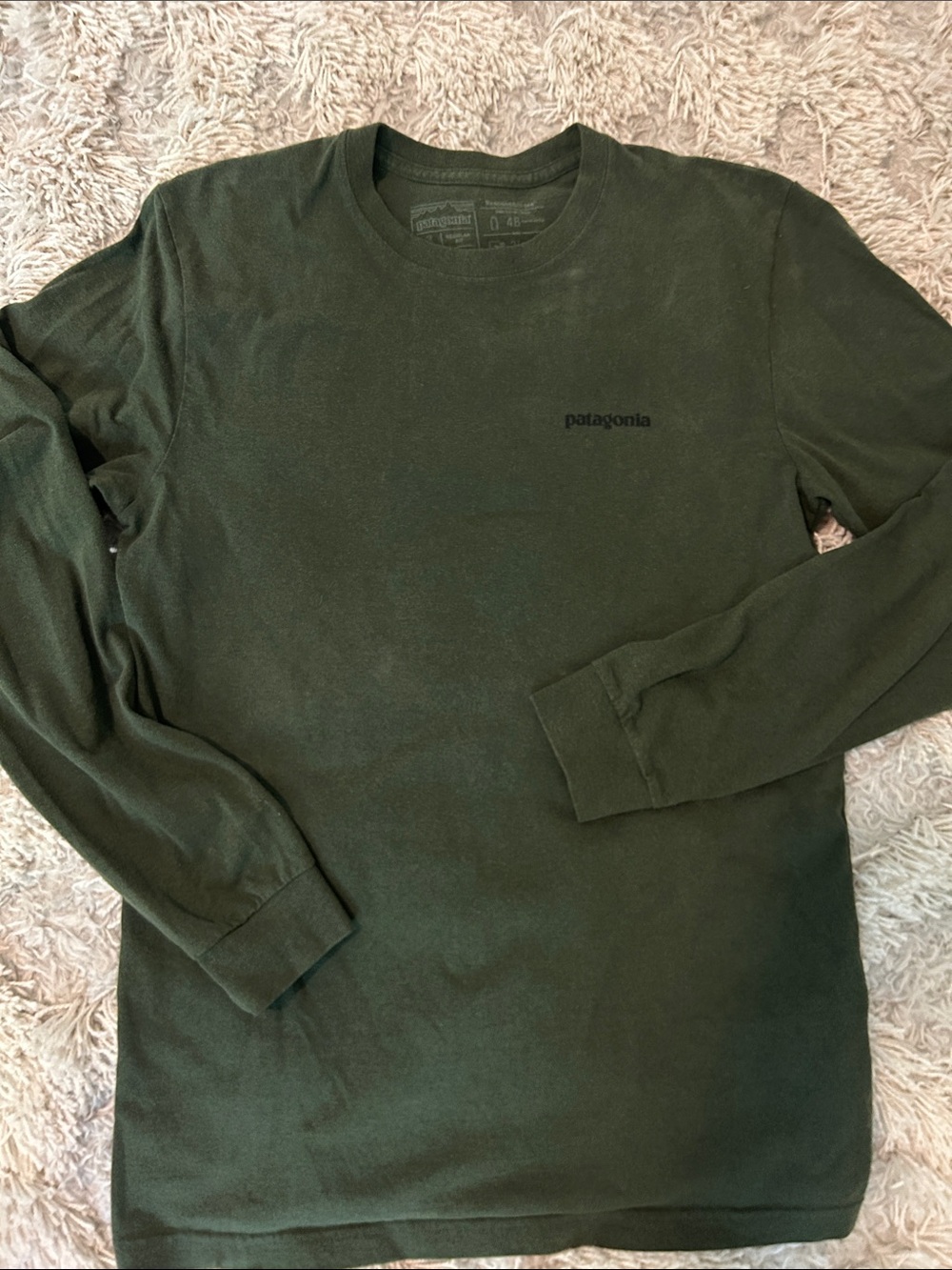 Patagonia Long-Sleeve Crew in Forest Green